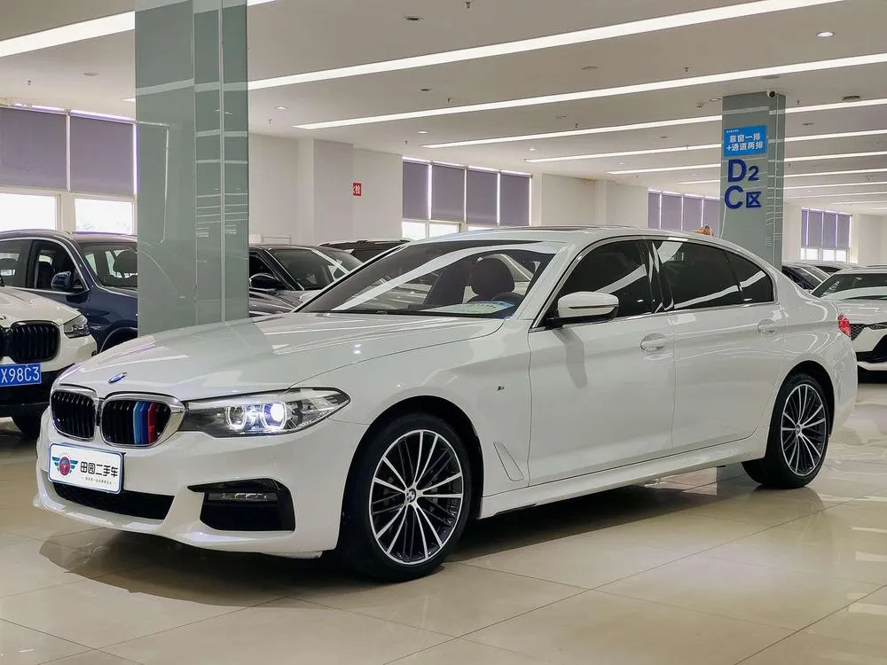 BMW 5-Series 530Li Leading Version M Sport, 2019 — фото 1