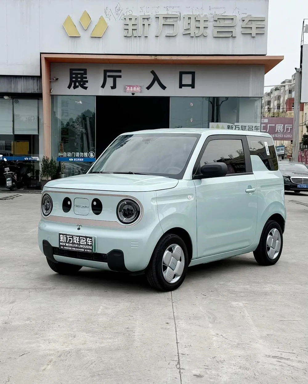 Galaxy Panda, 2024