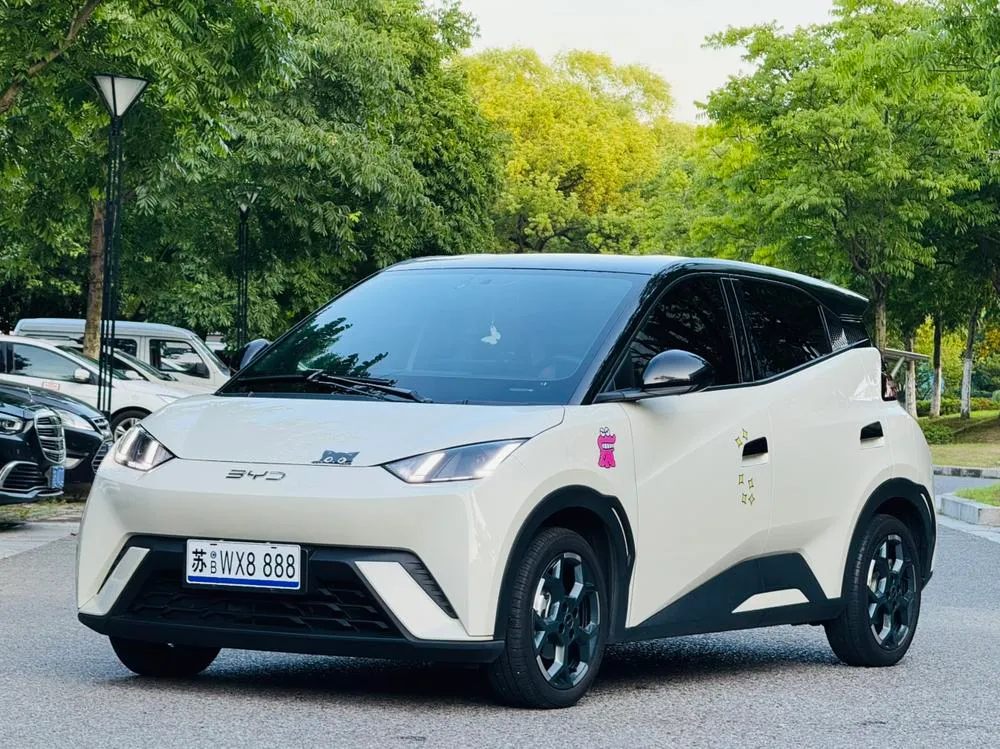 BYD Seagull, 2024