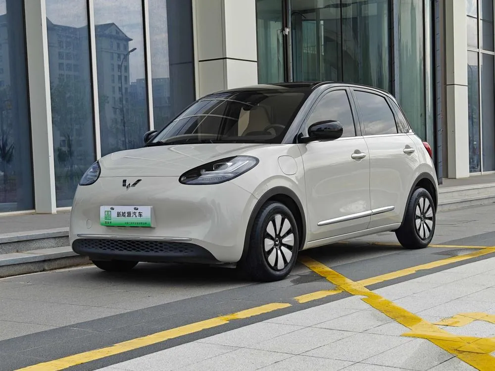 Wuling Bingo, 2024