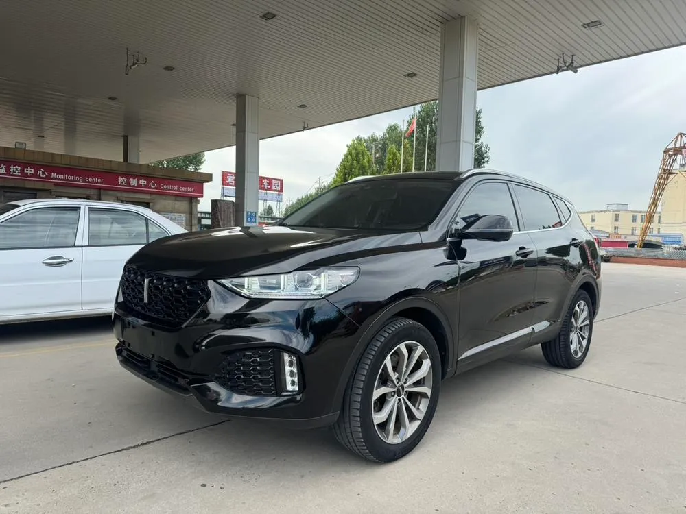 Wey VV6, 2019