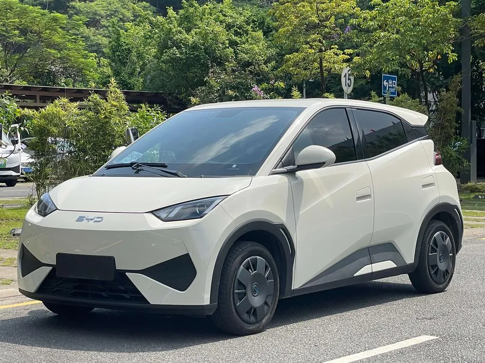 BYD Seagull, 2025