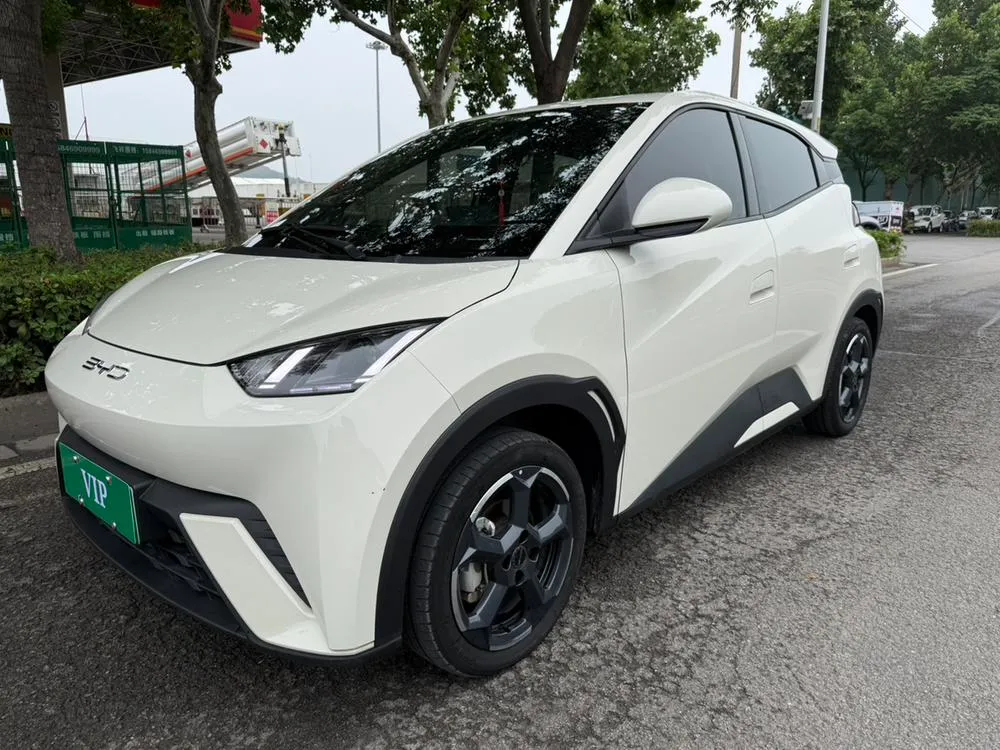 BYD Seagull, 2023