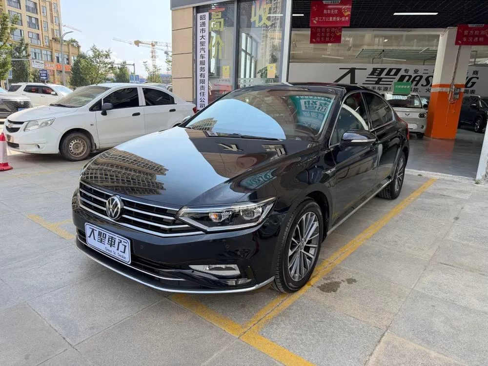 Volkswagen Magotan, 2020