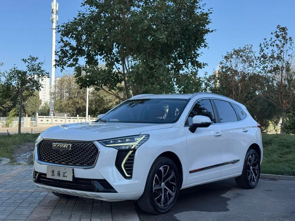 Haval Jolion, 2021