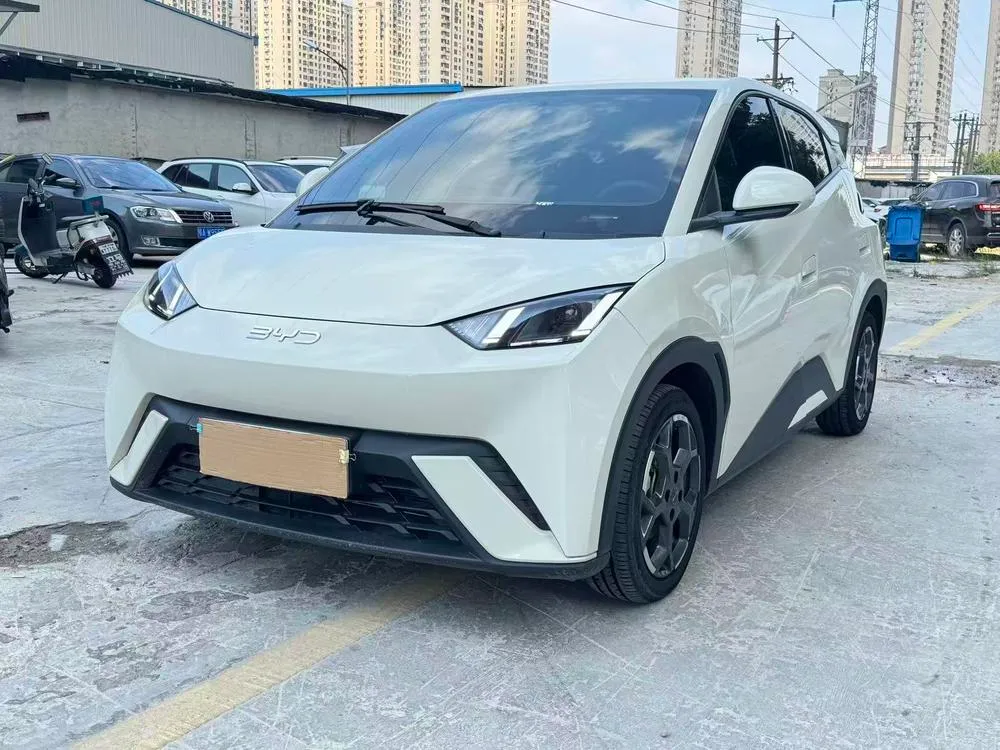 BYD Seagull, 2024