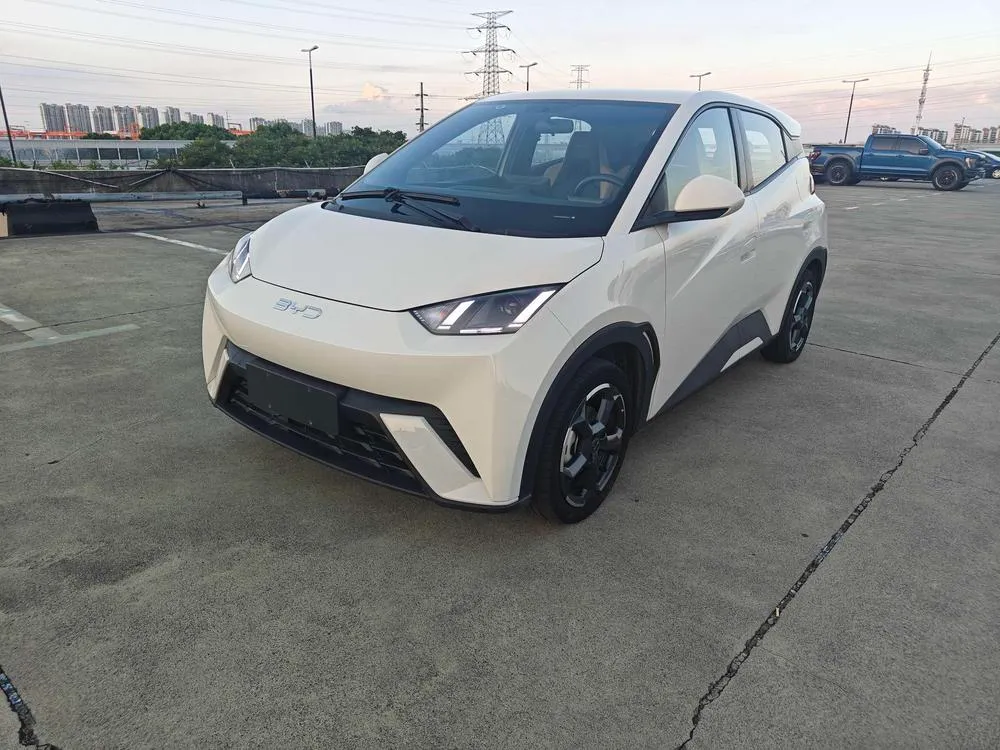 BYD Seagull, 2024