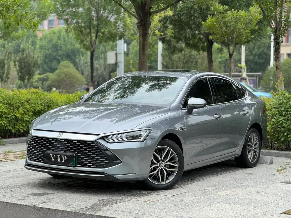 BYD Qin PLUS DM DM-i Champion Edition 55KM Version, 2023 — фото 1