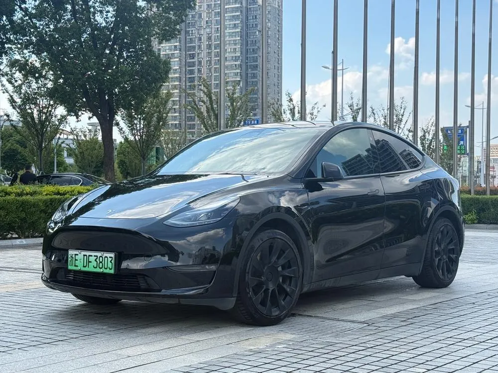 Tesla Model Y, 2021