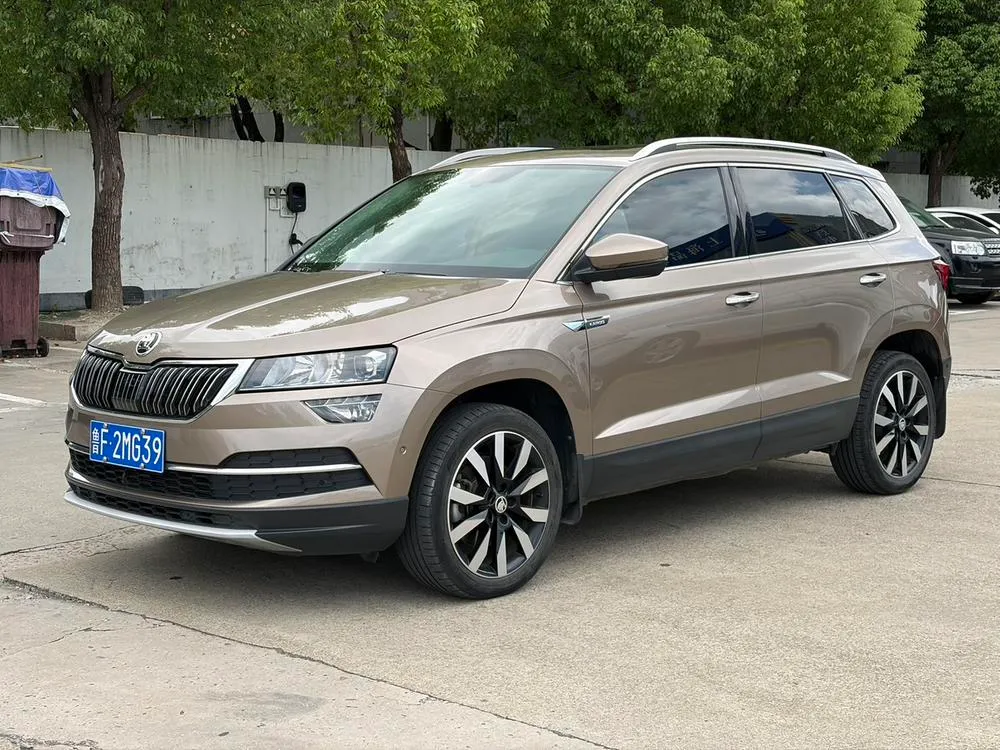 Skoda Karoq, 2020