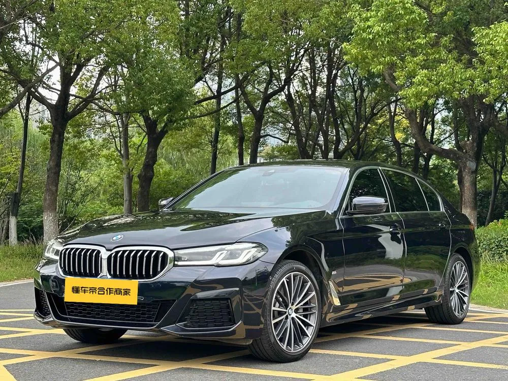 BMW 5-Series 530Li Leading Version M Sport, 2023 — фото 1