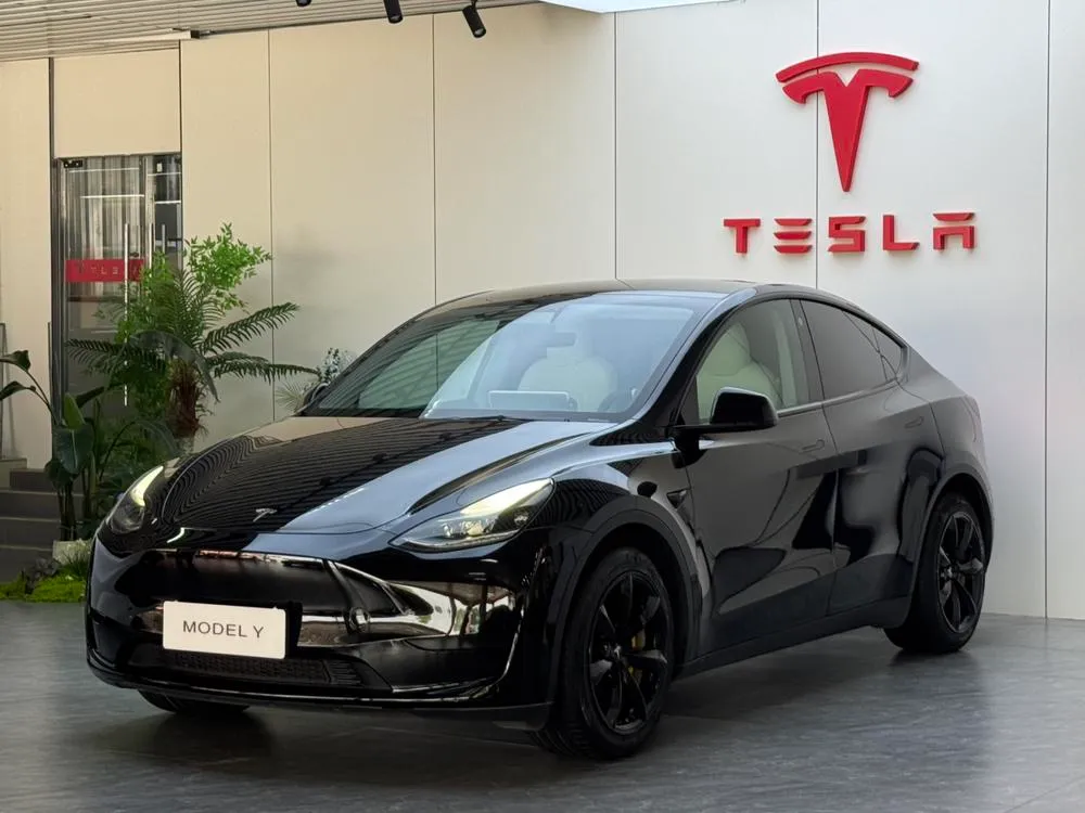 Tesla Model Y, 2022