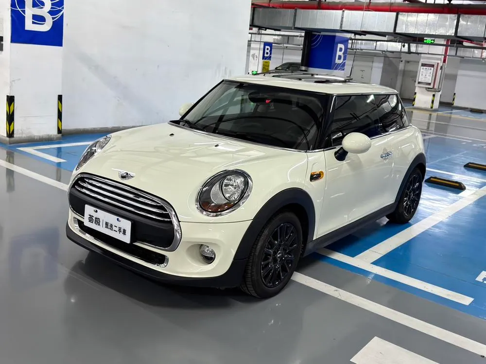 MINI MINI, 2014