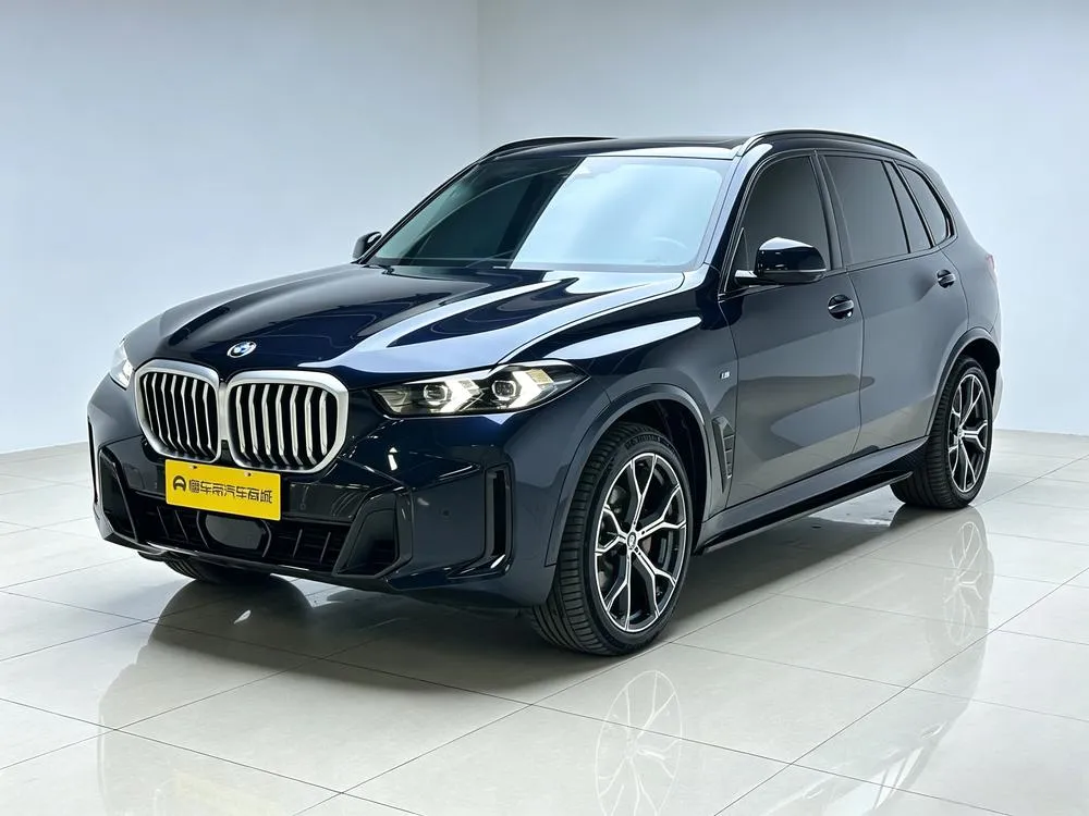 BMW X5 xDrive30Li Prestige Version M Sport, 2023 — фото 1