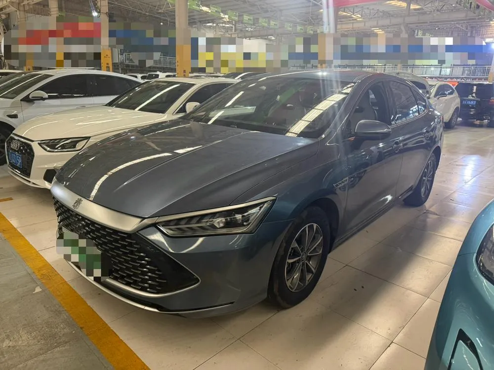 BYD Qin PLUS DM Glory Edition DM-i 55KM Leading Version, 2024 — фото 1