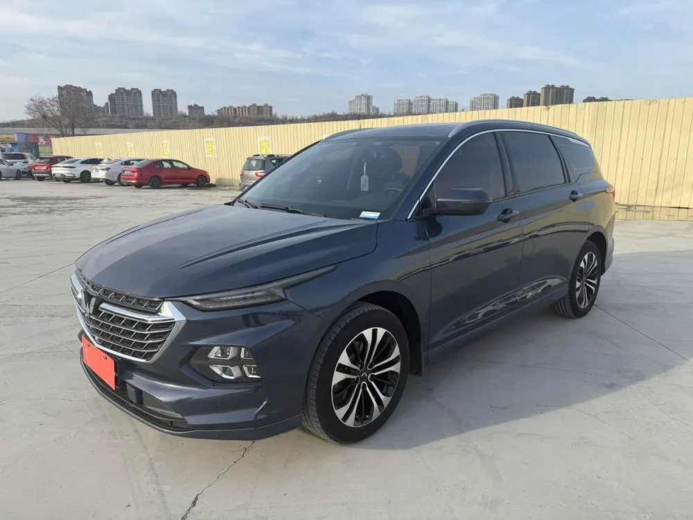 Wuling Capgemini Victory, 2020
