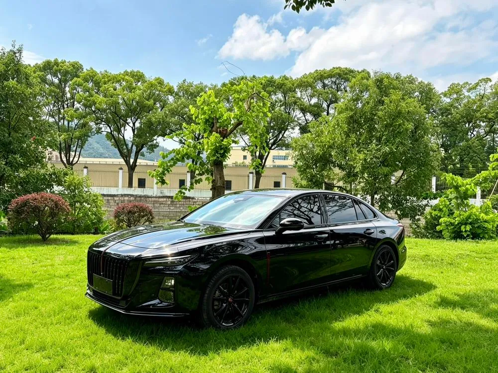 Hongqi H5, 2025