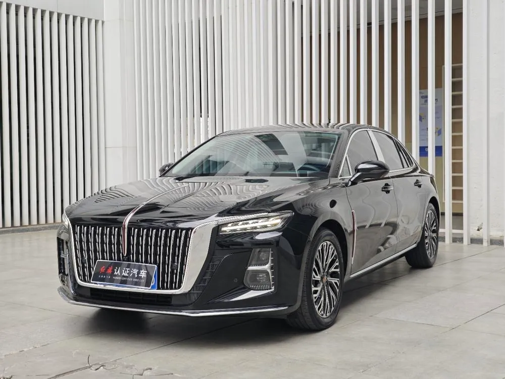 Hongqi H5, 2024