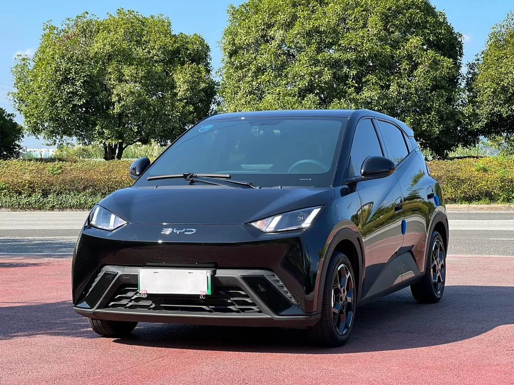 BYD Seagull, 2025