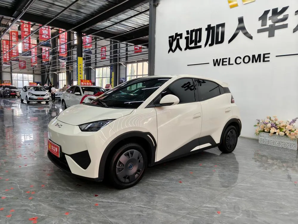 BYD Seagull, 2025