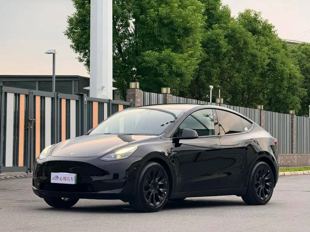 Tesla Model Y, 2021