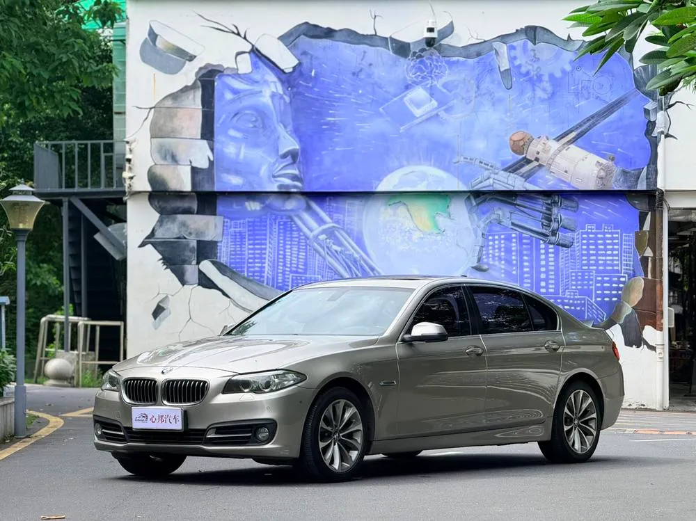 BMW 5-Series 528Li xDrive Leading Version, 2017 — фото 1