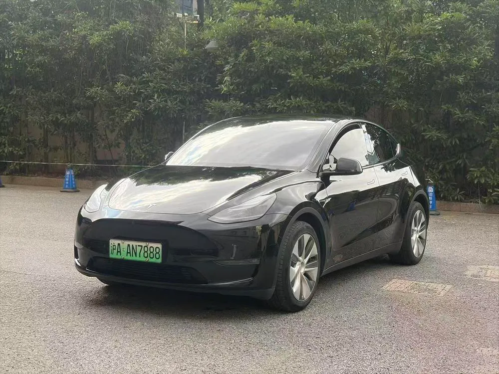 Tesla Model Y, 2021