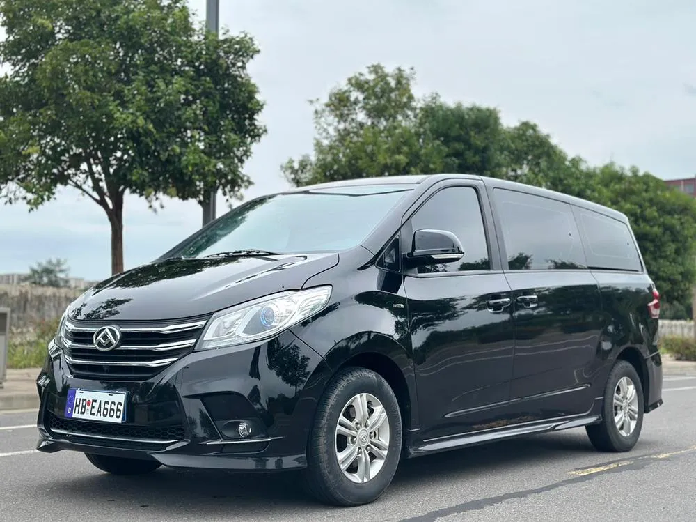 Maxus G10, 2022