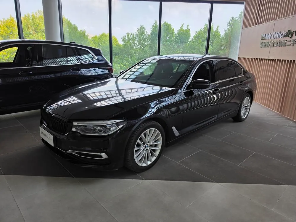 BMW 5-Series 530Li Leading Version Luxury, 2020 — фото 1