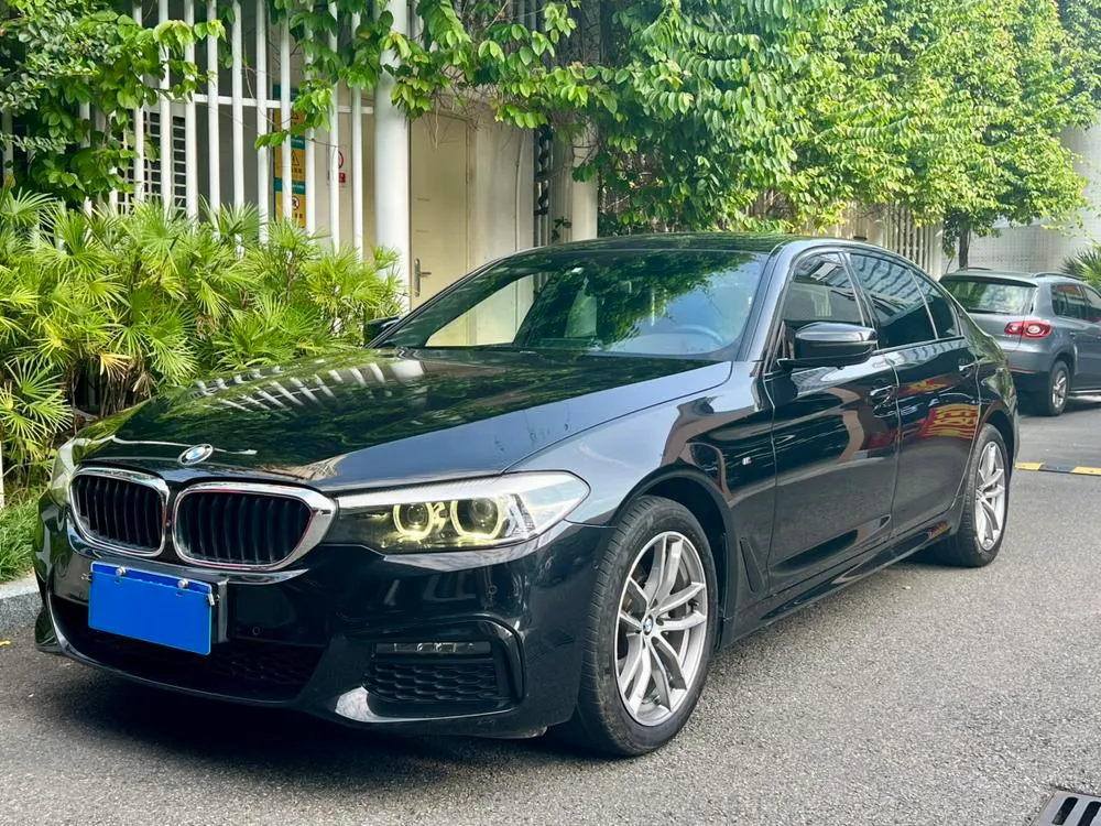 BMW 5-Series, 2019