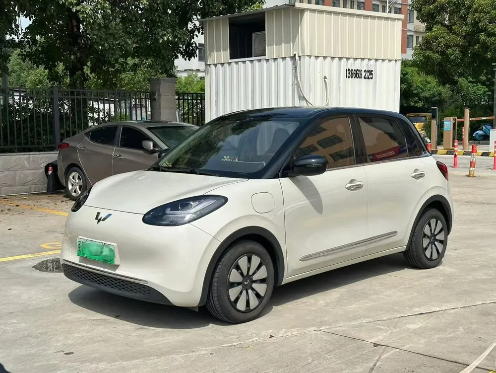 Wuling Bingo, 2025