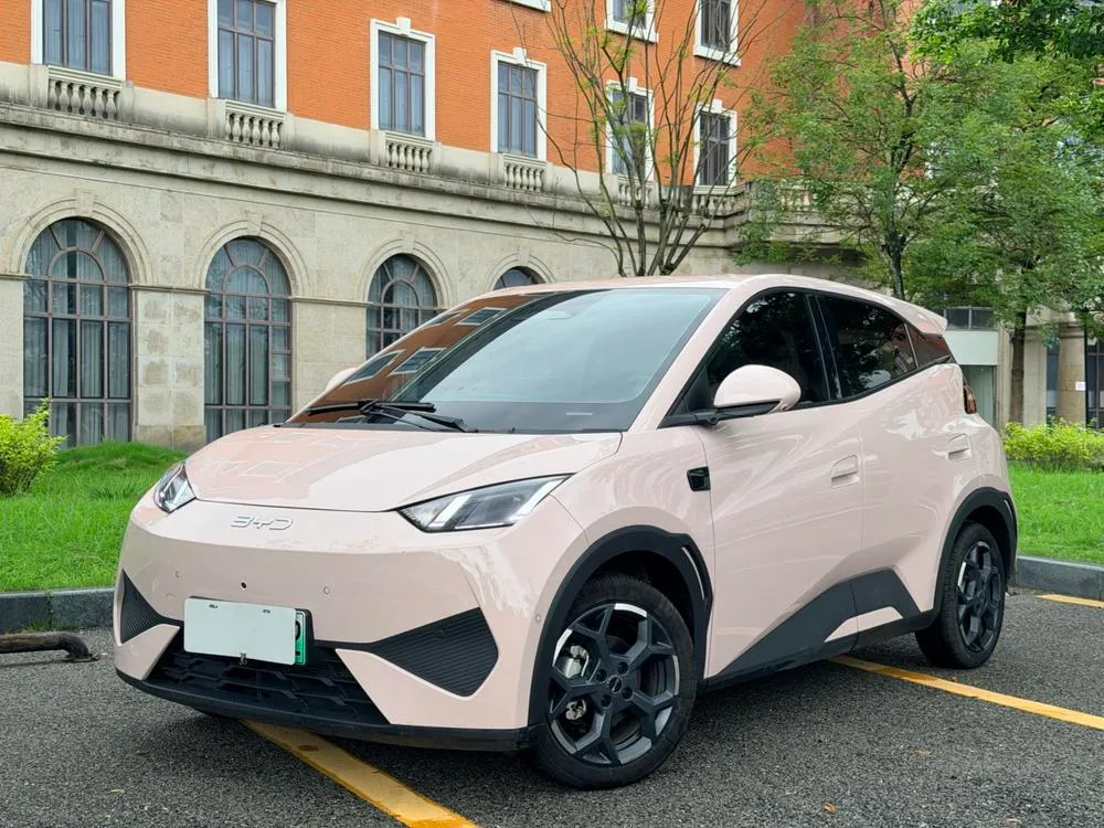 BYD Seagull Smart Drive Edition 305KM Edition, 2025 — фото 1