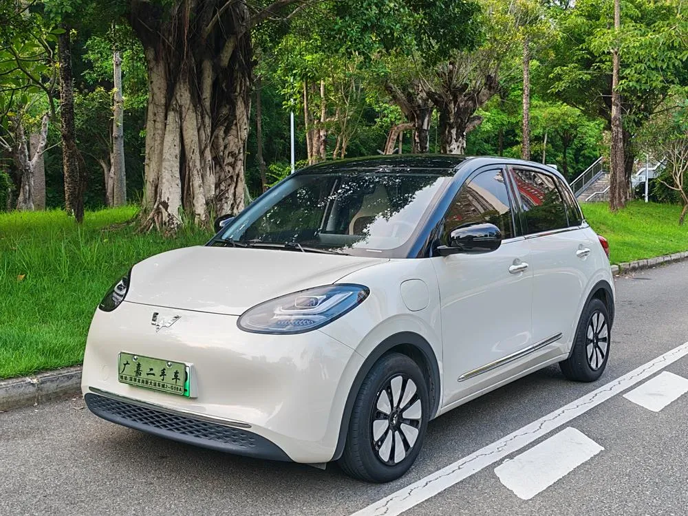 Wuling Bingo, 2024
