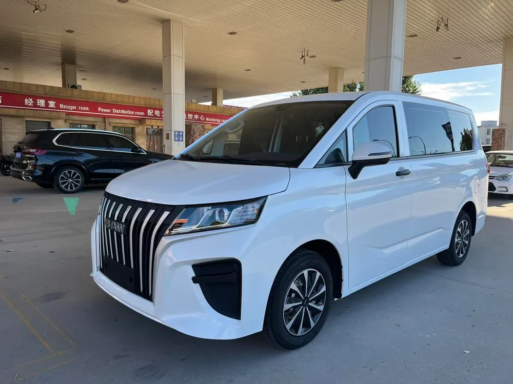BAW Ruisheng Wangpai M7, 2023