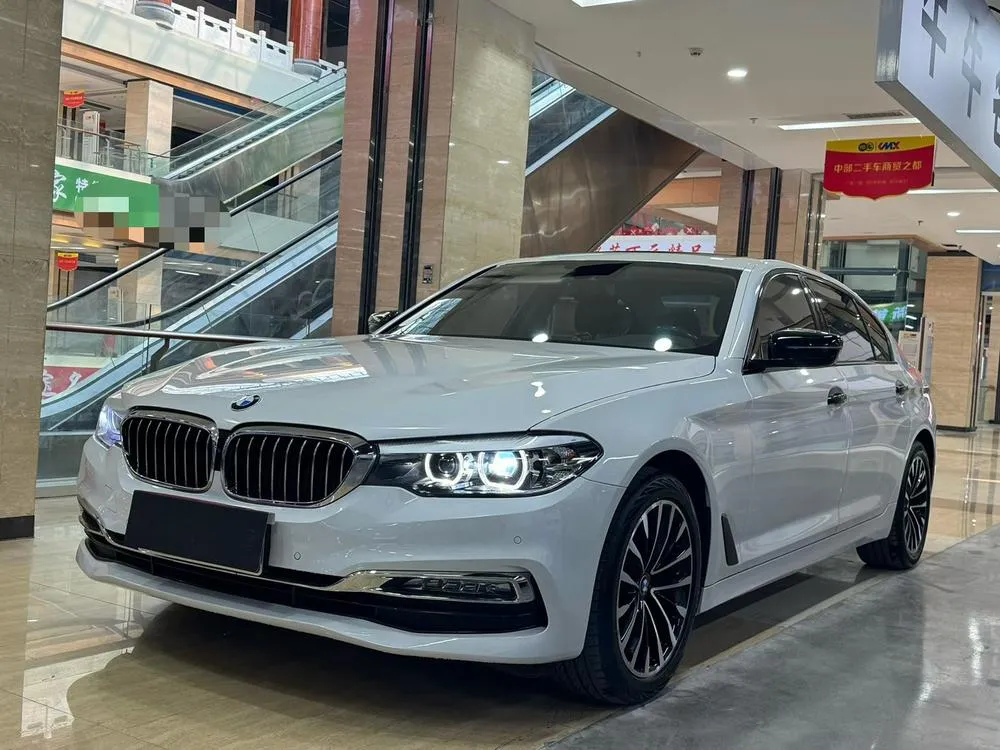 BMW 5-Series 525Li Luxury, 2018 — фото 1