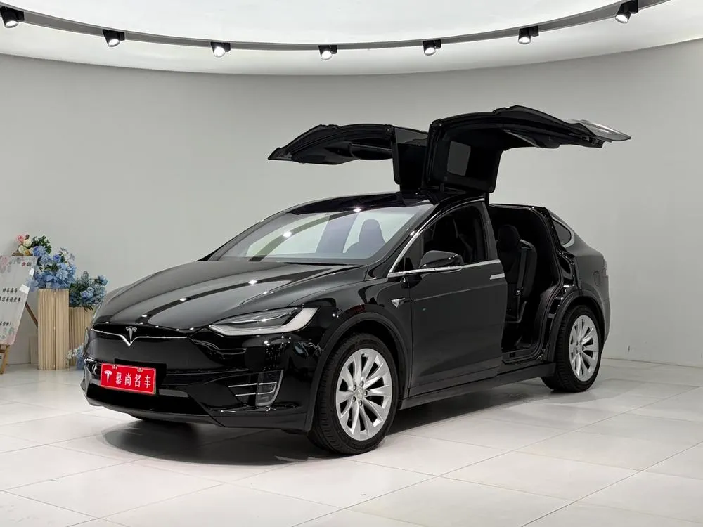 Tesla Model X Long Range Edition, 2019 — фото 1