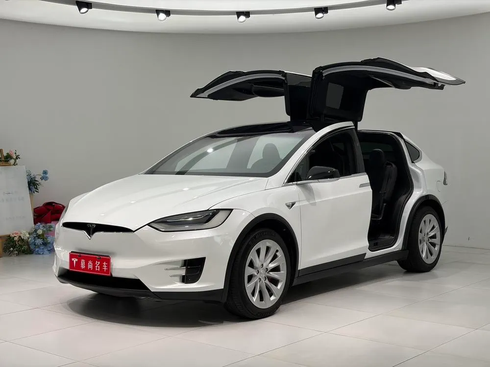 Tesla Model X, 2019