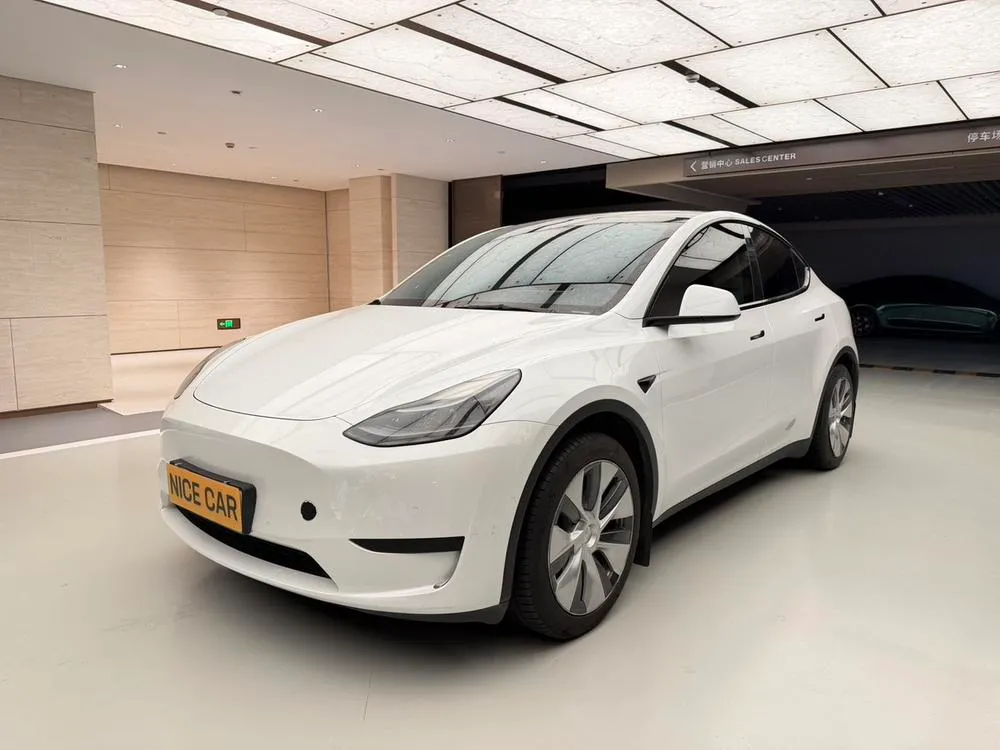 Tesla Model Y, 2022
