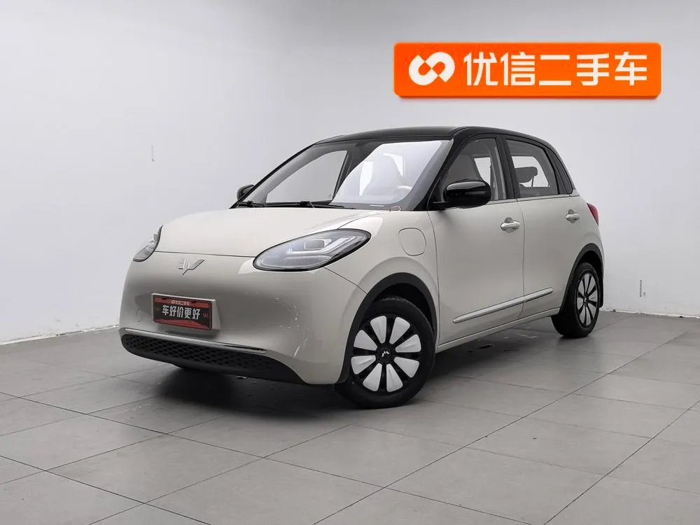 Wuling Bingo, 2024