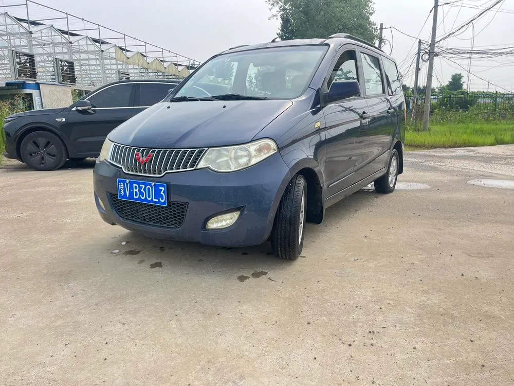 Wuling Hongguang, 2010