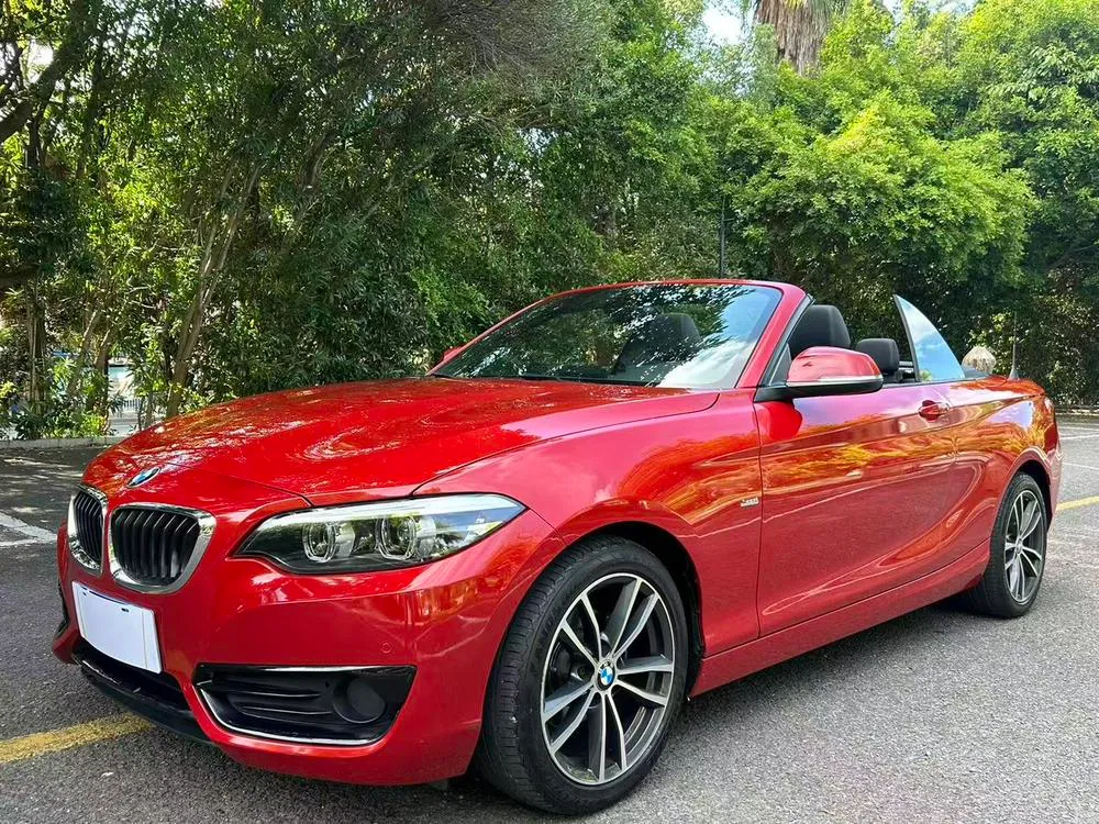 BMW 2-Series (Import), 2018