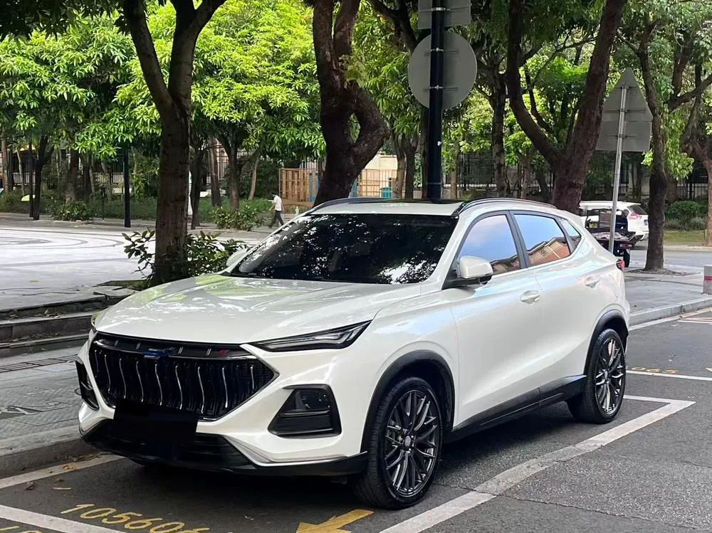 Changan Oshan X5, 2021
