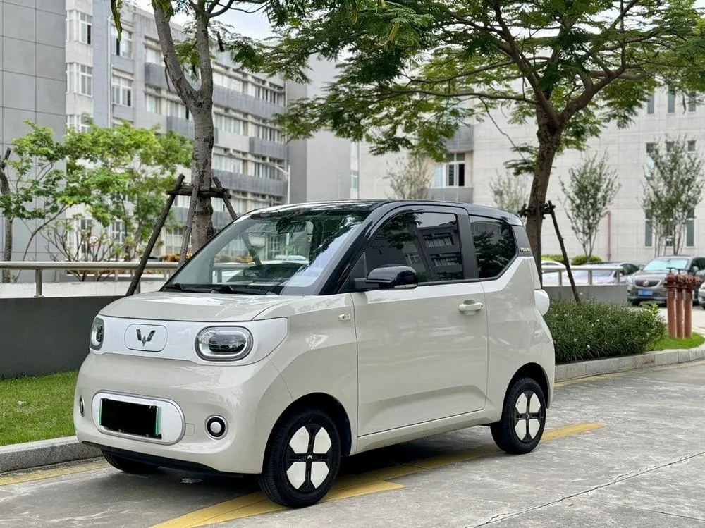Wuling Hongguang MINIEV, 2024