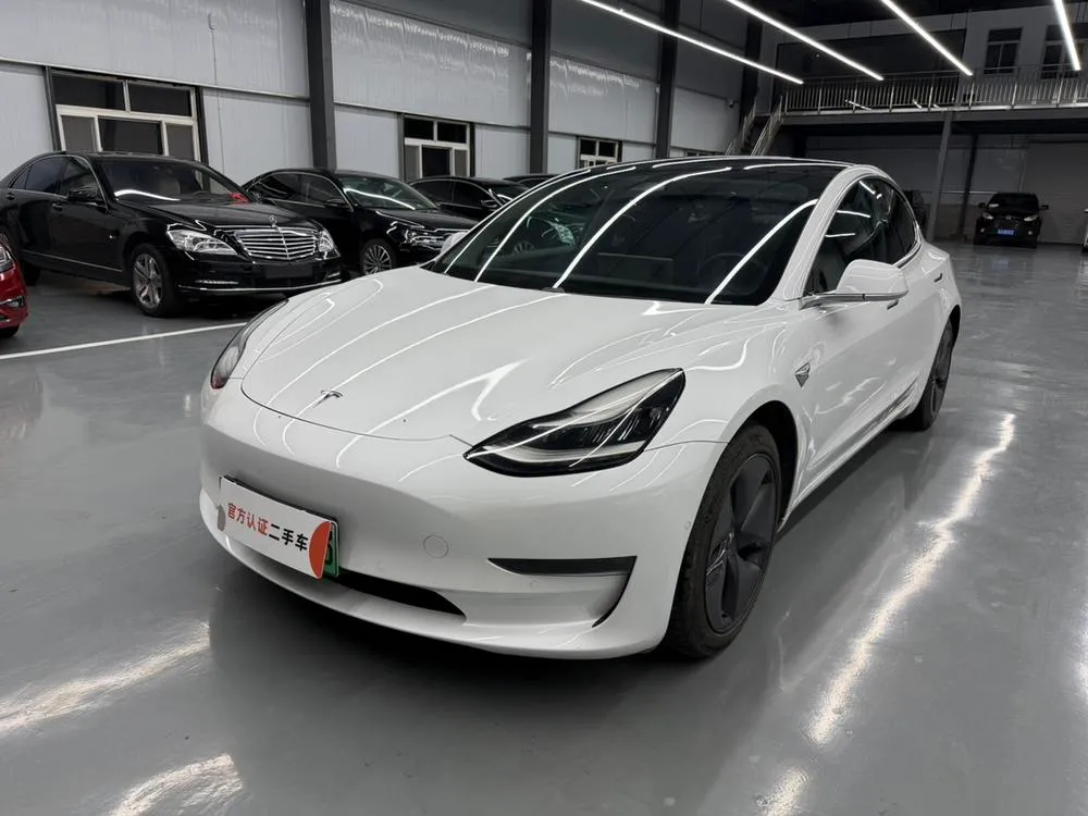 Tesla Model 3 (Import) Long Range AWD Edition, 2019 — фото 1