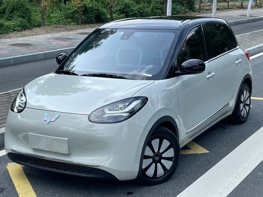 Wuling Bingo, 2023