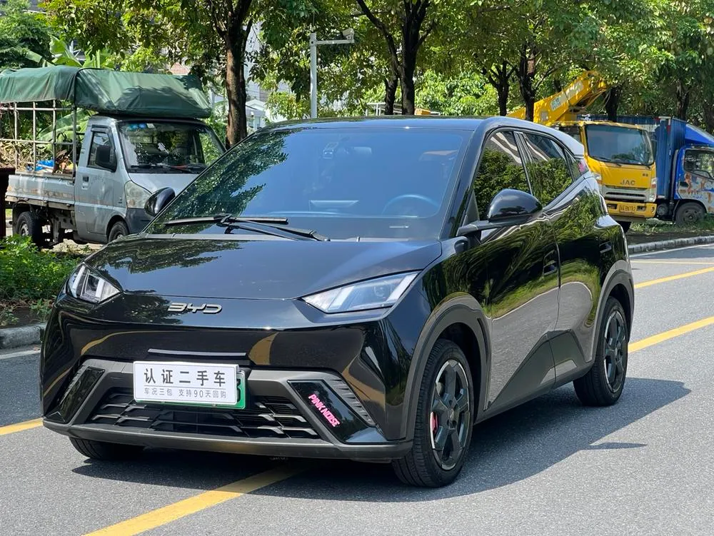 BYD Seagull, 2025