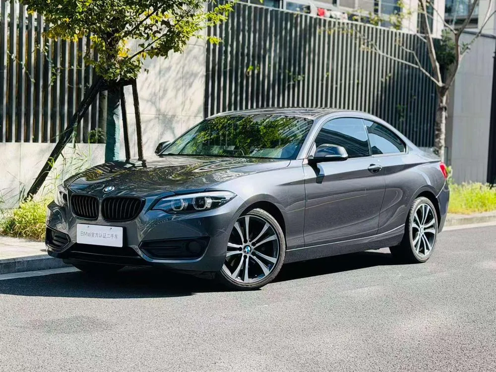 BMW 2-Series (Import), 2019