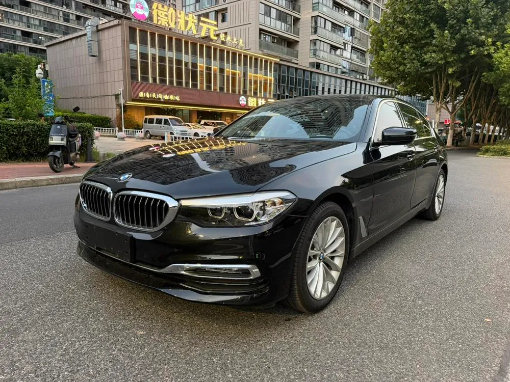 BMW 5-Series 530Li Leading Version Luxury, 2019 — фото 1