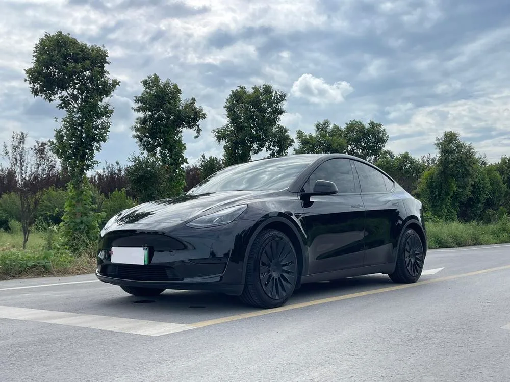 Tesla Model Y Edition, 2023 — фото 1