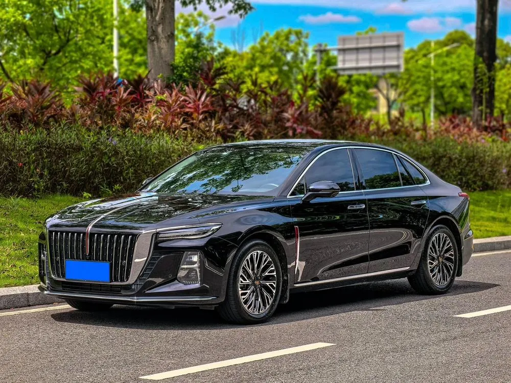 Hongqi H5, 2024